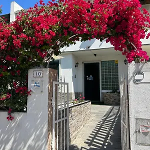 Bing Garden , Lisbon Portugal
